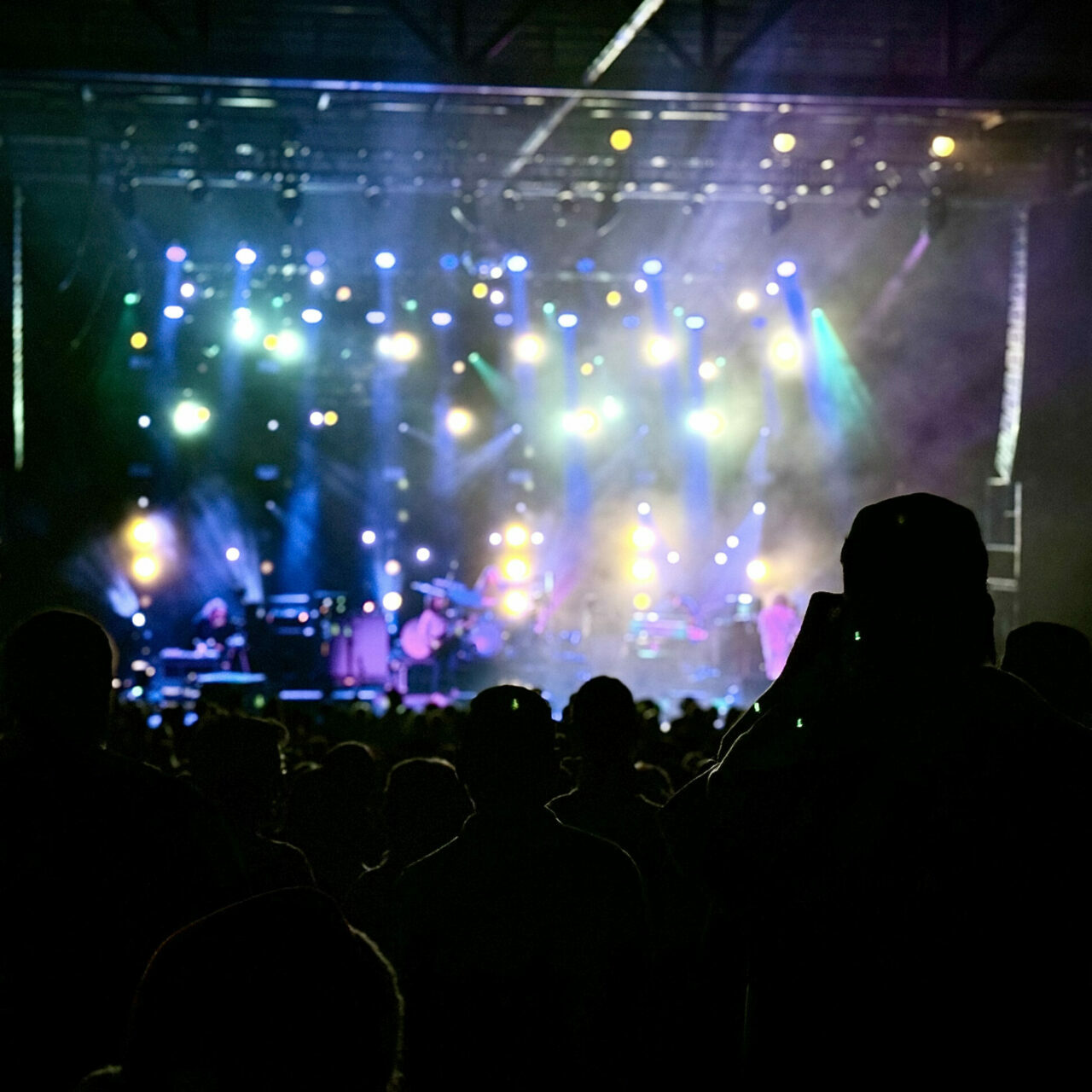 Image hover effect image
